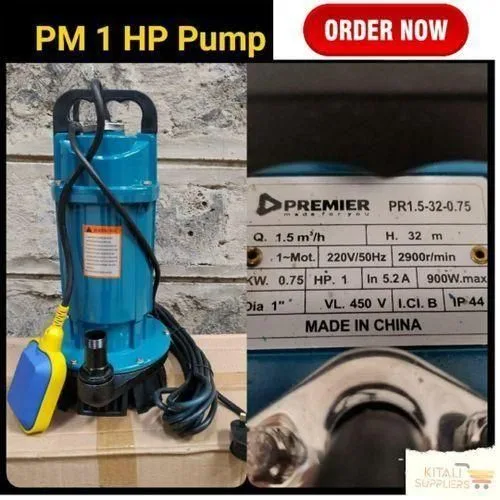1-2024-08-17T124105.964.jpg Premier Submersible Water Pump 1hp - Image 1